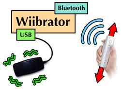 wiibrator.jpg